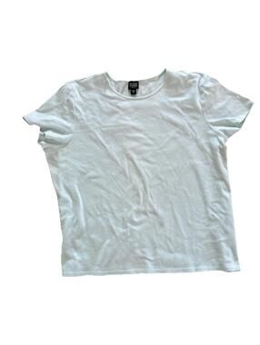 Eileen Fisher Women's 1X Aqua Blue Crew Neck cotton comfy everyday T-shirt